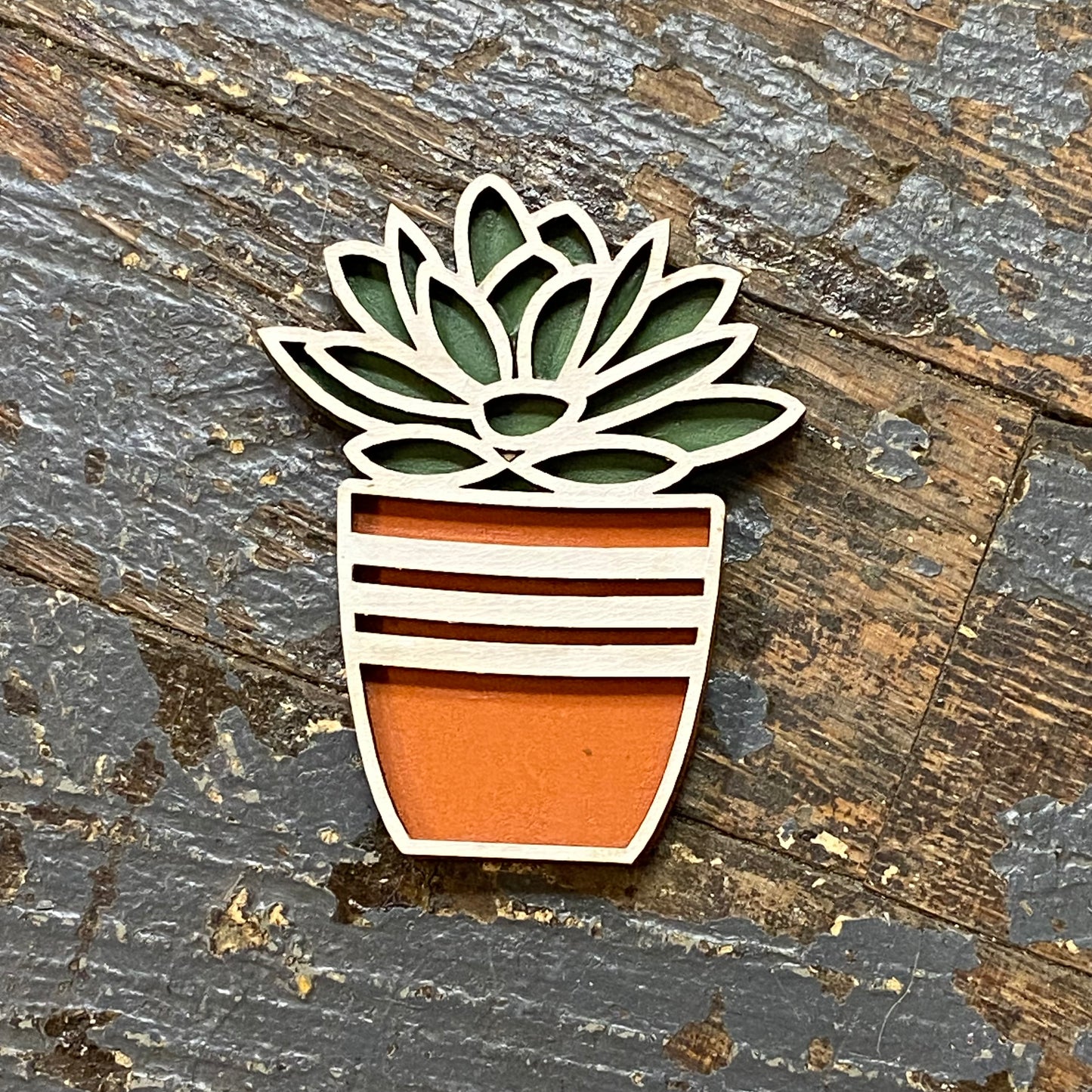 Hens Chicks Succulent Plant Dimensional Wood Engraved Magnet