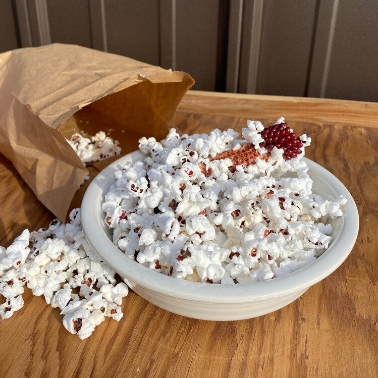 Avalon Ruby Red Popping Ears Popcorn Ohio Till Farmstead
