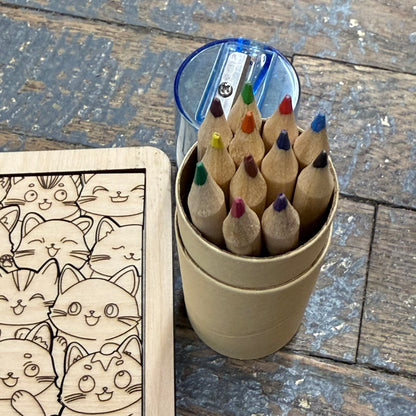 Wooden Challenge Tabletop Travel Coloring Puzzle