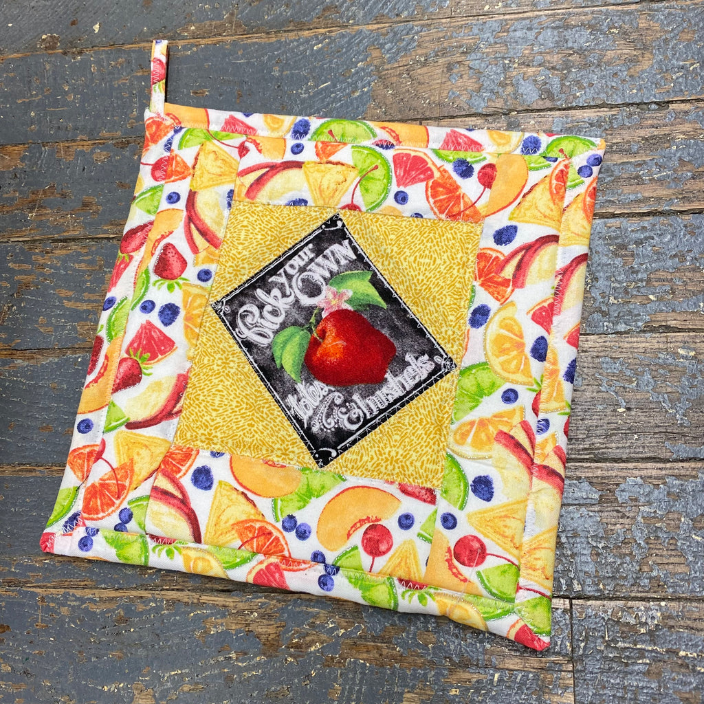 Handmade Quilt Fabric Cloth Hot Cold Pad Holder Embroidered Garden Vegetable Seed Packet Apple