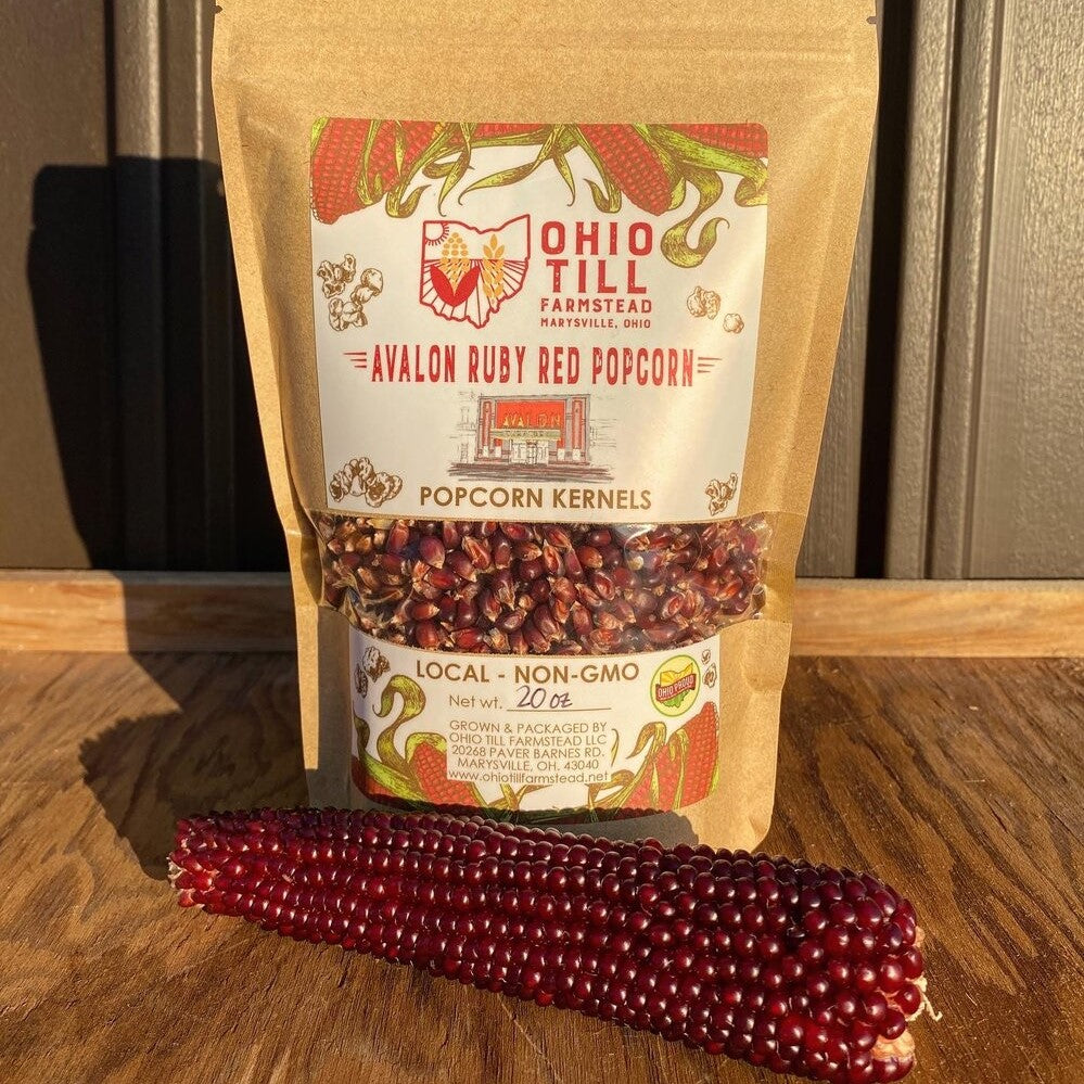 Avalon Ruby Red Popcorn Kernels Ohio Till Farmstead