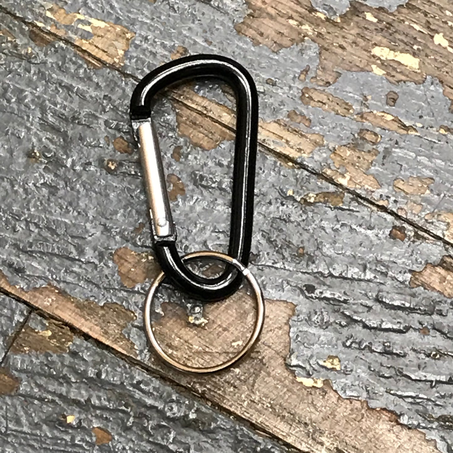 Carabiner Key Chain