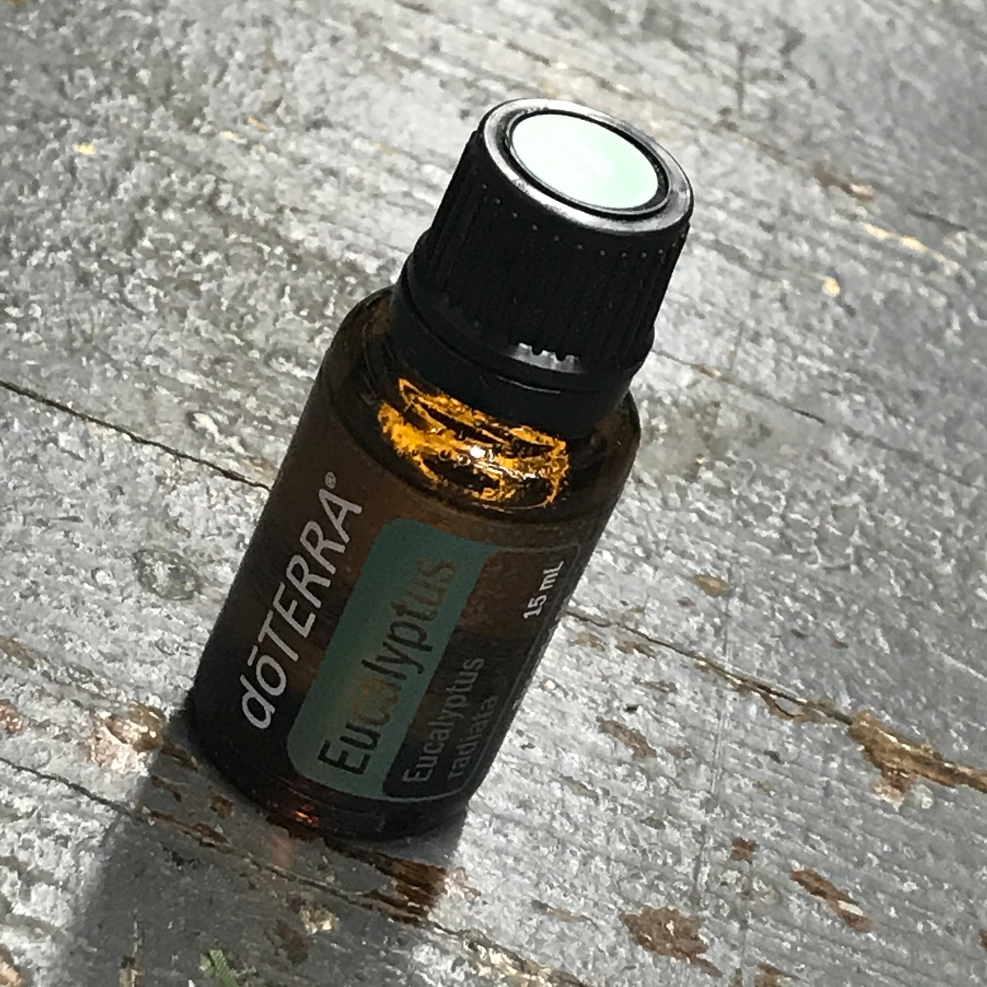 doTerra Essential Oils Eucalyptus Eucalyptus radiata 15mL Bottle