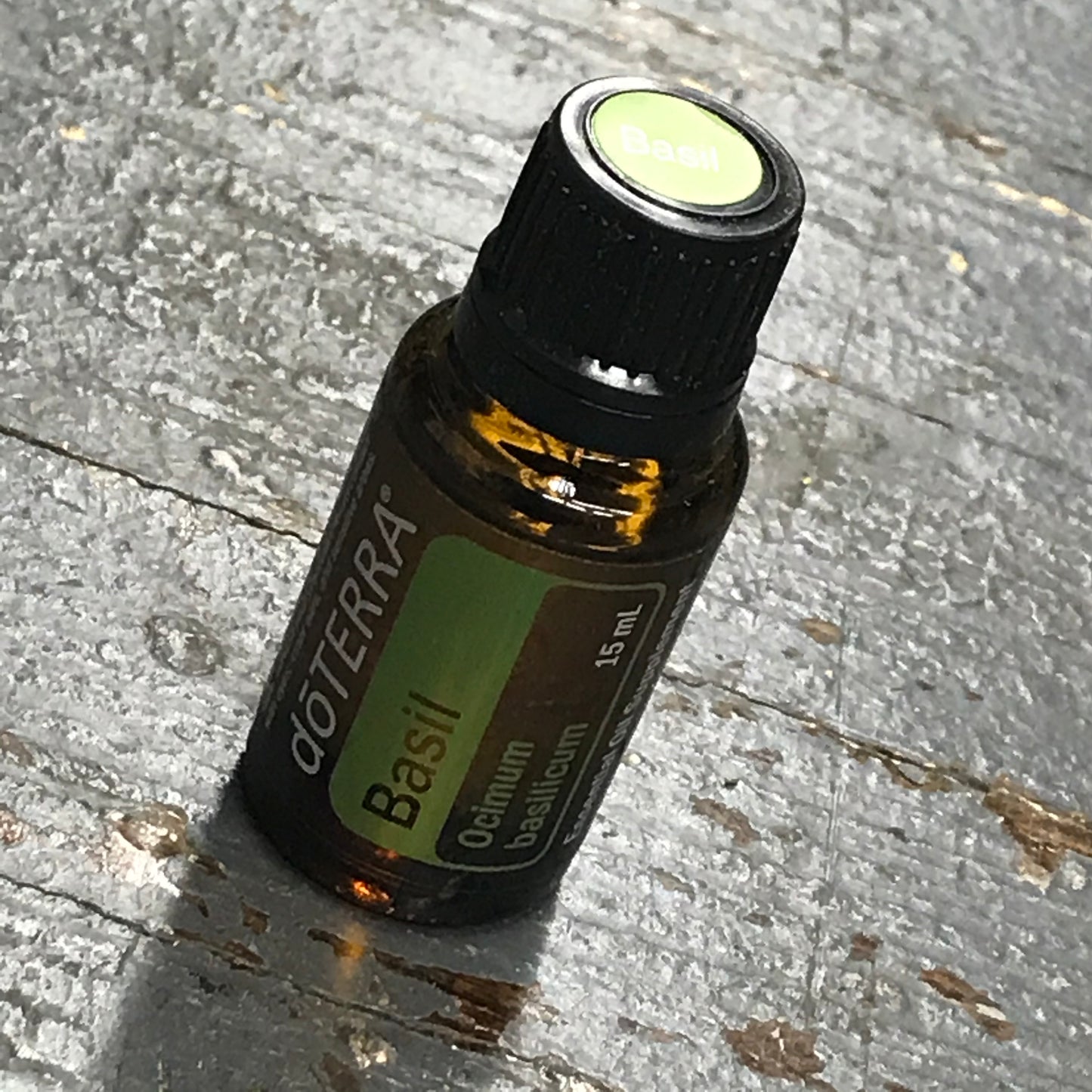 doTerra Essential Oils Basil Ocimum Basilicum 15ml Bottle