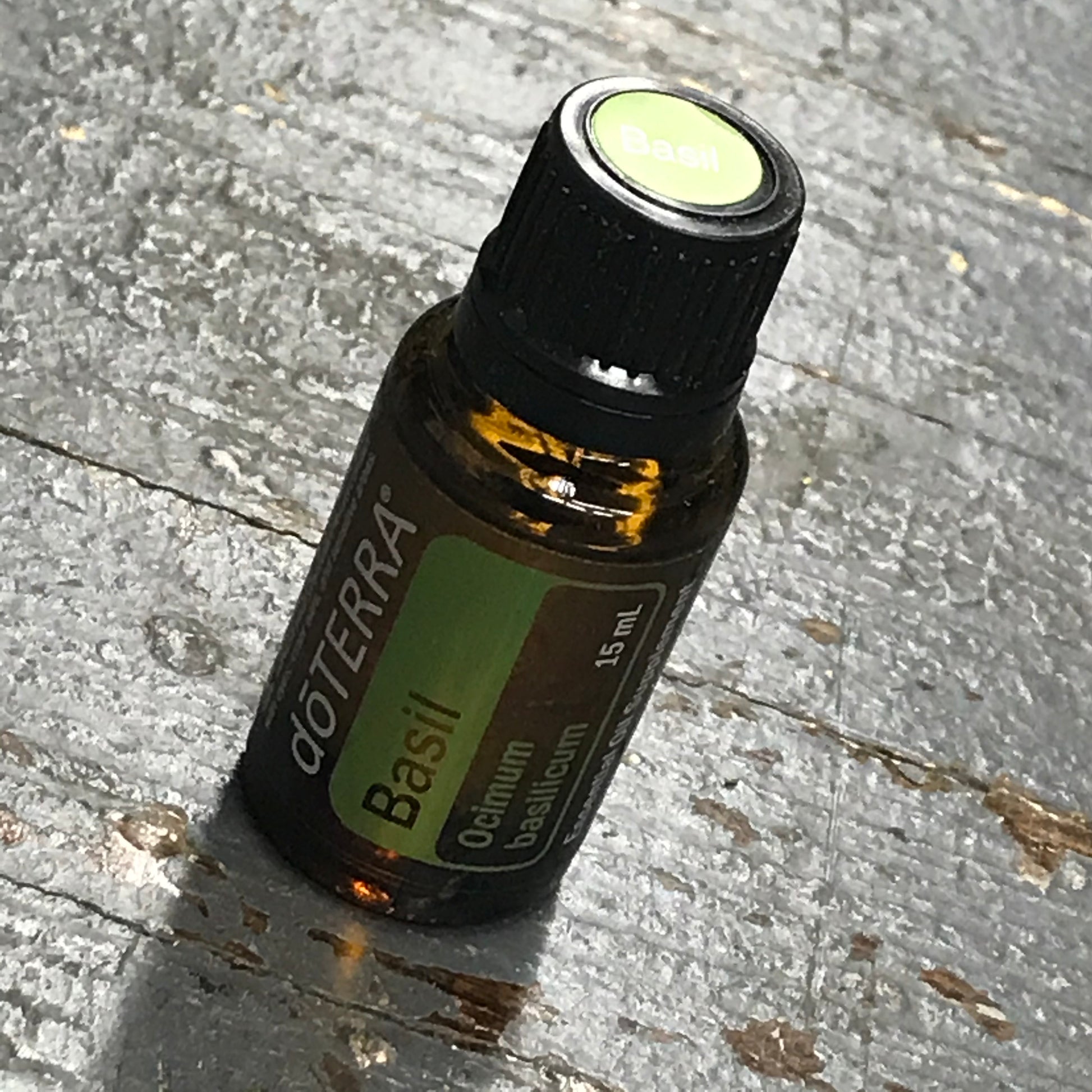 doTerra Essential Oils Basil Ocimum Basilicum 15ml Bottle