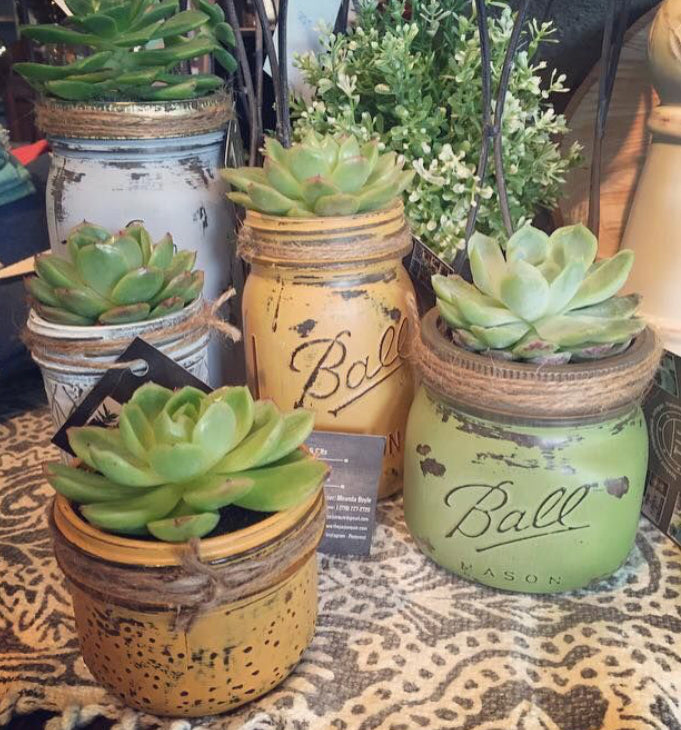 Chalk Paint Succulent Garden Workshop