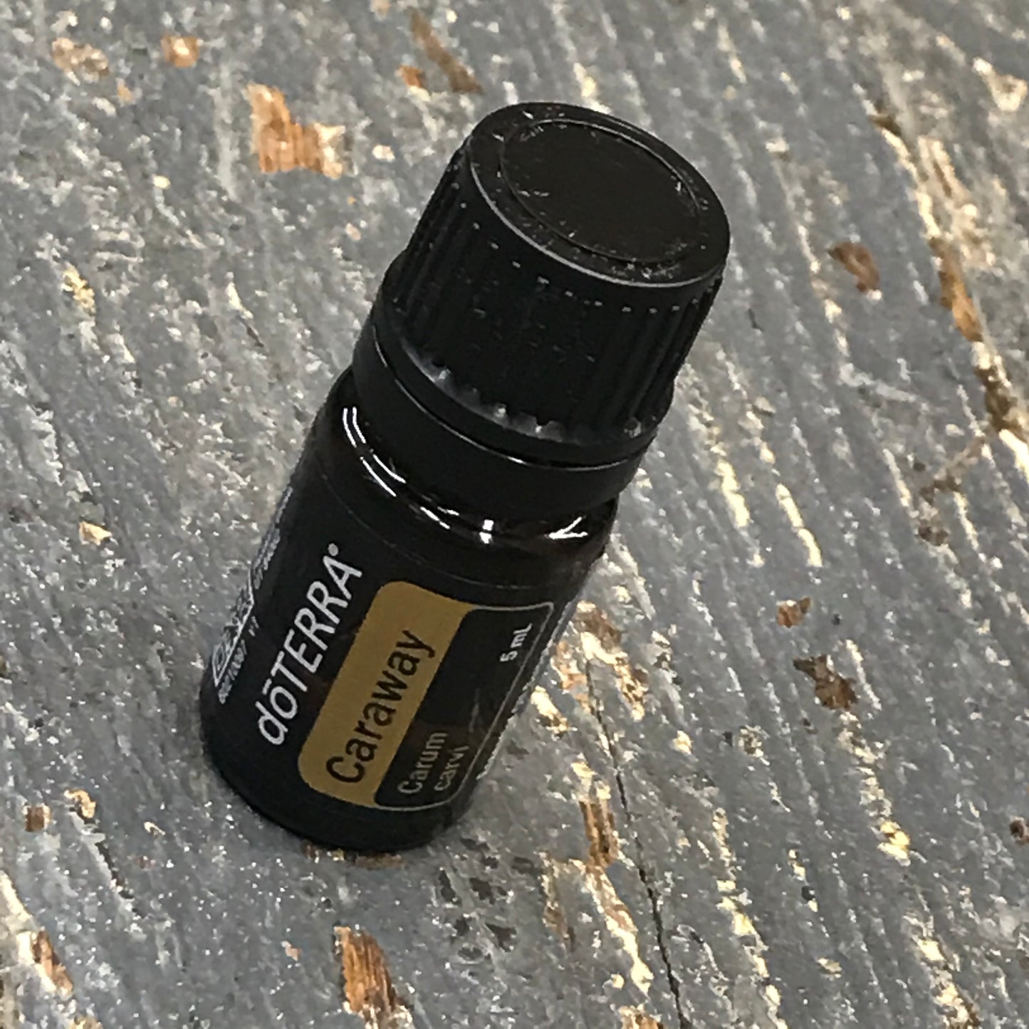 doTerra Essential Oils Caraway Carum carvi 5ml Bottle