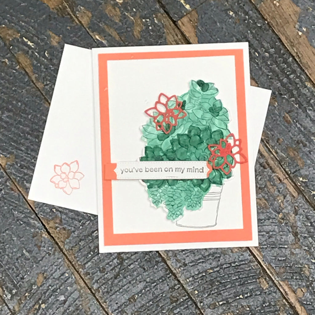 You've Been On My Mind Succulent Handmade Stampin Up Greeting Card with Envelope