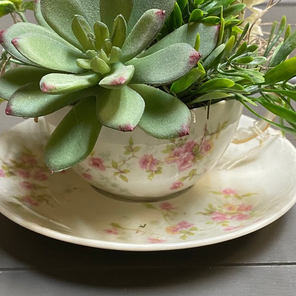 Floral Centerpiece Tea Cup Saucer Succulent Fairy Garden #2