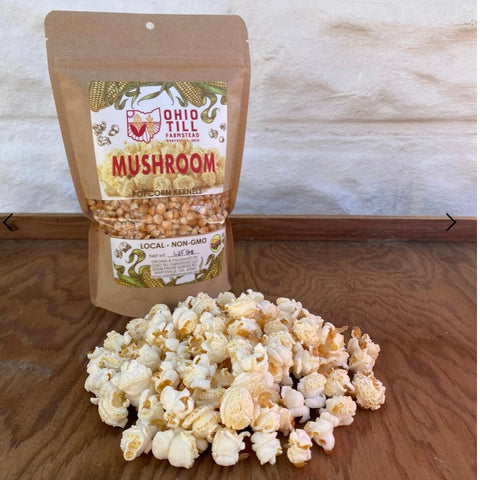 Mushroom Yellow Popcorn Kernels Ohio Till Farmstead